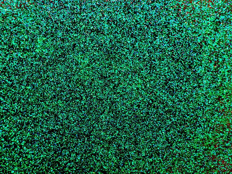 Sparkle Green pool colour swatch