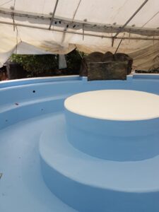 AFTER Hanmer SENSATION pool waterfall rock relined