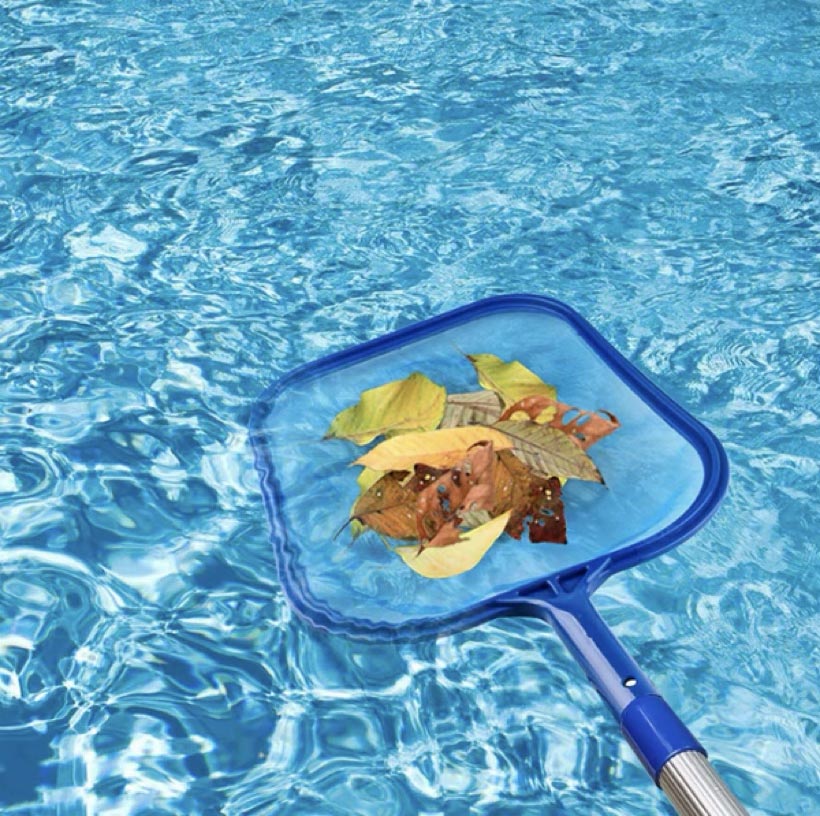 Leaves on pool skimmer in Bermuda Pool, outdoor swimming pool with clear blue water, cleaning and maintenance tools, summer leisure, tropical pool setting, optimal for swimming and relaxation.