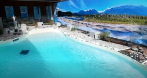 Fibreglass Pool Lining – Customer Case Study: West Coast Wildlife Centre